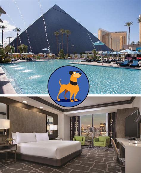 which vegas hotels allow dogs.